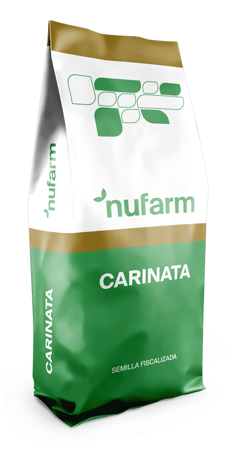 Bolsa de semilla Carinata Nujet 350
